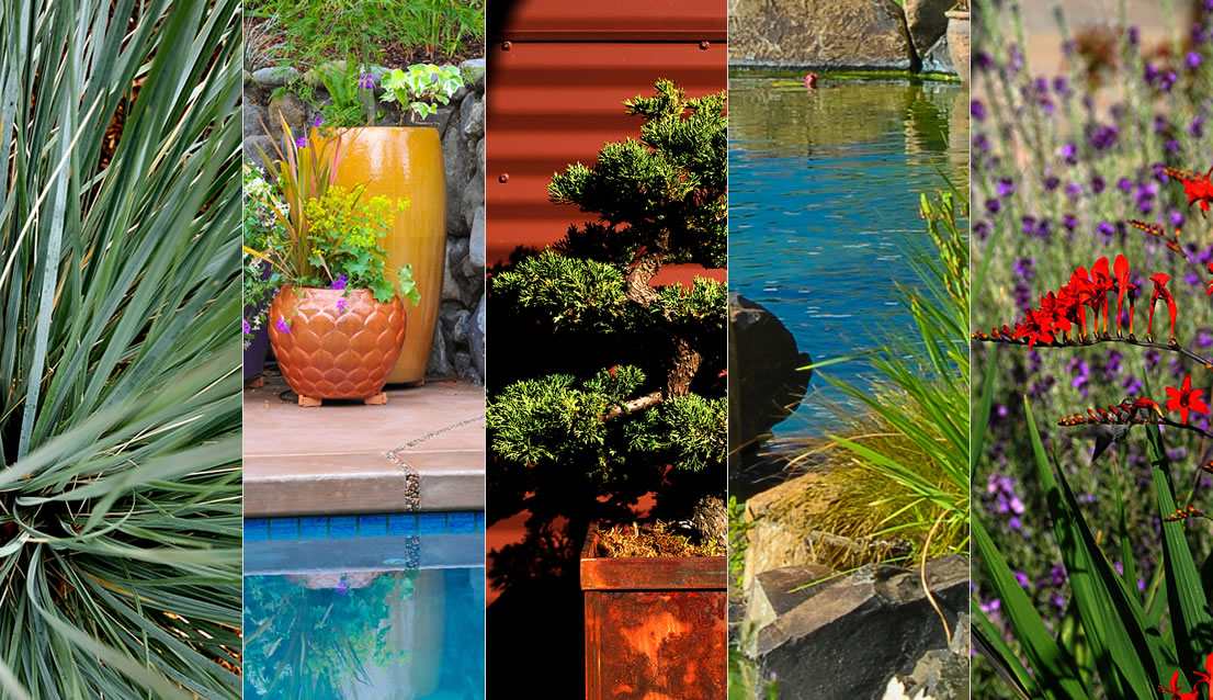 Laurie Sager Landscape Architect Ashland Oregon