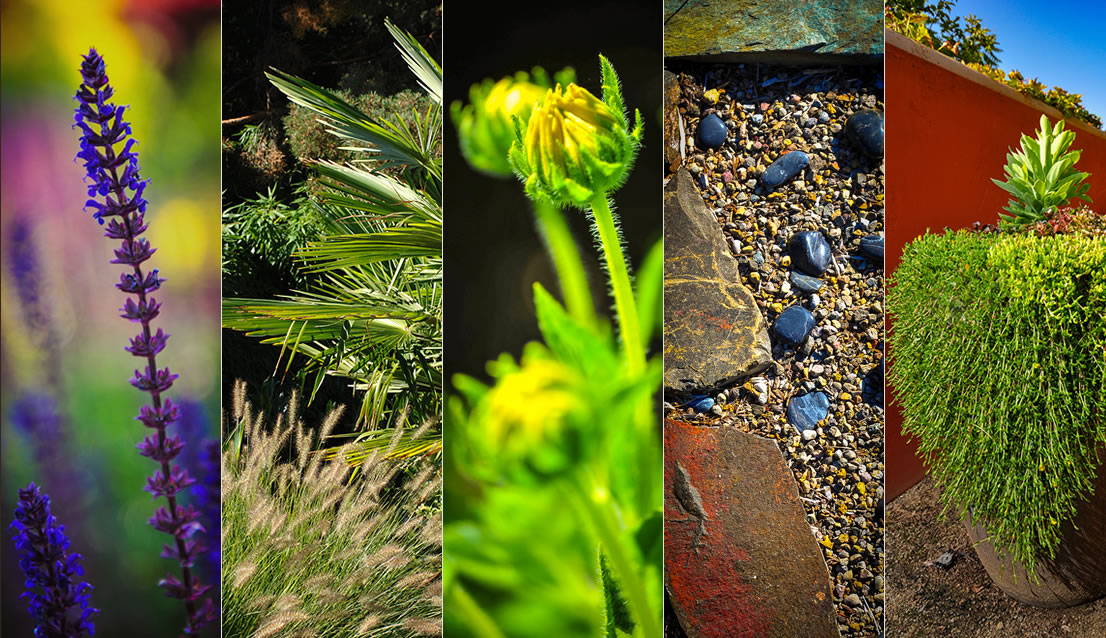 Laurie Sager Landscape Architect Ashland Oregon