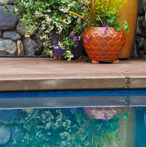 Laurie Sager Landscape Architects Inc.