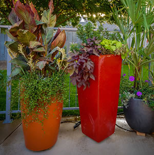 Laurie Sager Landscape Architects Inc.