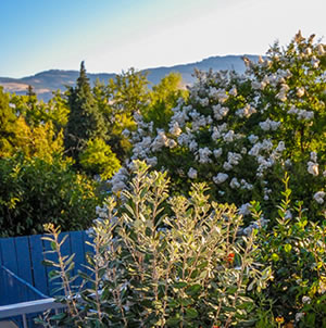 Laurie Sager Landscape Architects Inc.