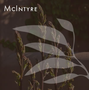 Laurie Sager Landscape Architects Inc.