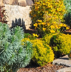 Laurie Sager Landscape Architects Inc.