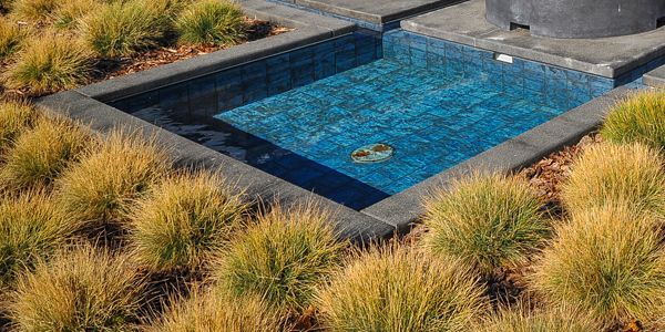 Laurie Sager Landscape Architects Inc.