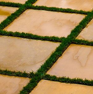 Laurie Sager Landscape Architects Inc.