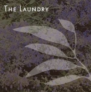 Laurie Sager Landscape Architects Inc.