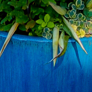 Laurie Sager Landscape Architects Talent Resident Landscaping Portfolio