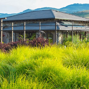 Laurie Sager Landscape Architects Inc.