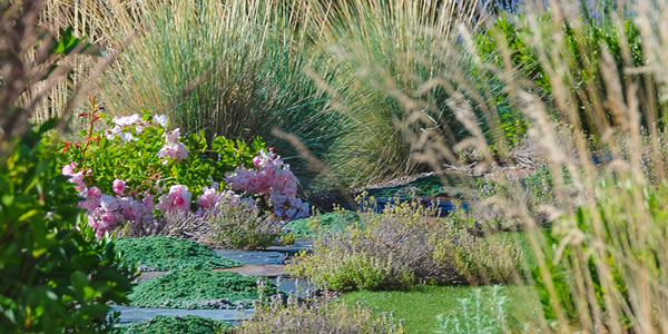 Laurie Sager Landscape Architects Inc.