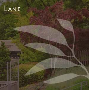 Laurie Sager Landscape Architects Inc.