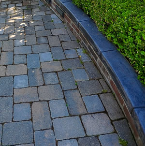 Laurie Sager Landscape Architects Inc.