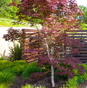 Laurie Sager Landscape Architects Inc.