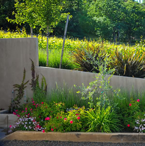 Laurie Sager Landscape Architects Inc.